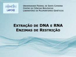 Slide 1 - Laboratório de Polimorfismos Genéticos