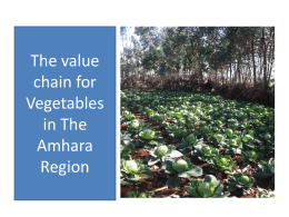 The value chain for Vegetables in The Amhara - LIVES