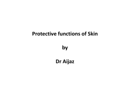 Protective functions of Skin File