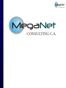 Meganet Consulting - CCTV