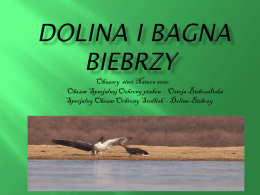 Ostoja Biebrzańska - Natura 2000 a turystyka