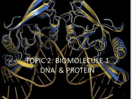 DNA and RNA: Composition and Structure