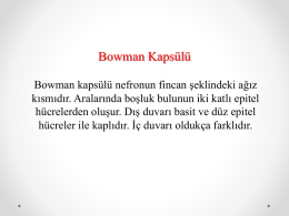 Bowman Kapsülü