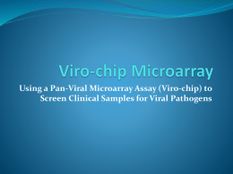 Virochip microarray