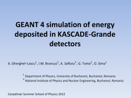 GEANT 4 simulation of energy deposited in KASCADE