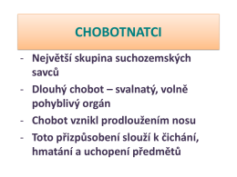CHOBOTNATCI