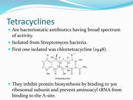 D. Tetracyclines