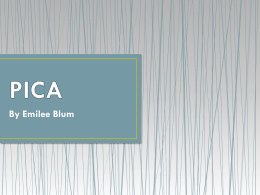 PICA powerpoint