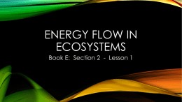 Energy flow in ecosystems