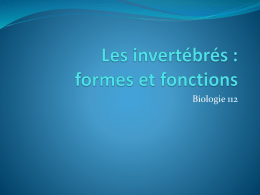 Les invertébrés : formes et fonctions - Biologie 112