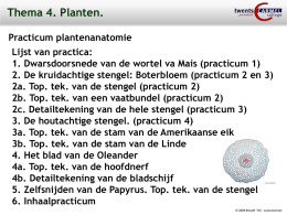 Thema 4. Planten.