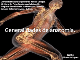 generalidades de anatomía (903898)