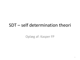 SDT * self determination theori