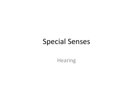Special Senses - Hearing