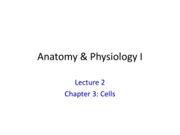 powerpoint lecture