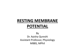RESTING MEMBRANE POTENTIALS