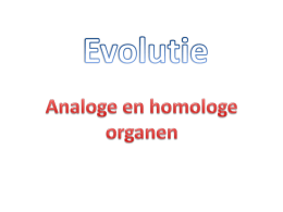 Analoge organen - BIOLOGIEPAGINA.nl