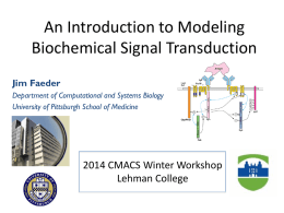 An Introduction to Modeling Biochemical Signal