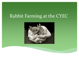 Rabbit Farming at the CYEC