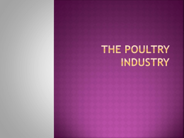 The poultry industry