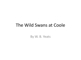 the-wild-swans-at-coole