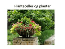 Planteceller og plantar