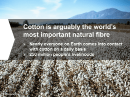 BCI – Kerem Saral - Better Cotton Initiative