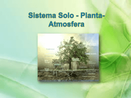 Seminario - Sistema Solo- Planta- Atmosfera