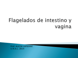 Flagelados de intestino y vagina 2014 12 setiembre