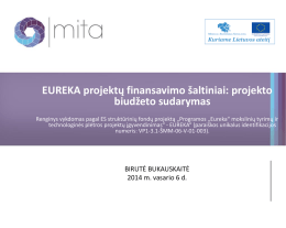 EUREKA projektų finansavimo šaltiniai: projekto biudžeto