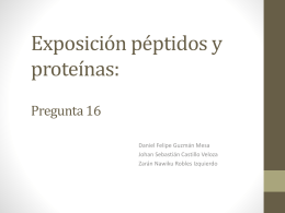 Exposición péptidos y proteínas: pregunta 16