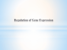 Regulation-of-Gene