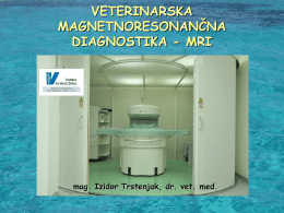 Predstavitev MR diagnostike