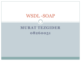 08260051-wsdl soap