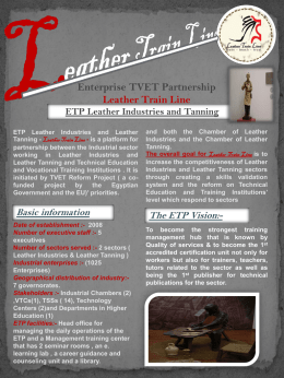 Leather Sector flyer