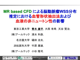 血管形状の抽出 - 東京工業大学
