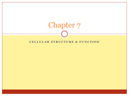 Plasma Membrane sec 2 only