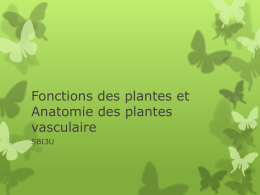 Structures et fonctions des plantes
