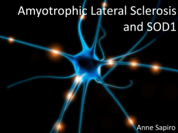 File - SOD1 and Amyotrophic Lateral Sclerosis