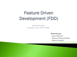 FDD (Feature Driven Development)
