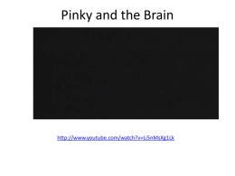 Pinky and the Brain