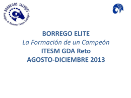 Borrego Elite AGOSTO-DICIEMBRE 2013