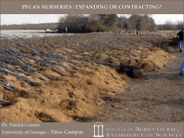 Pecan Nurseries - University of Georgia