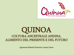 quinoa - cultura ancestrale andina, alimento del presente e del futuro