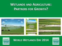 Wetlands and biofuels 2