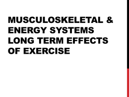 Musculoskeletal & energy systems Long term effects of exercise
