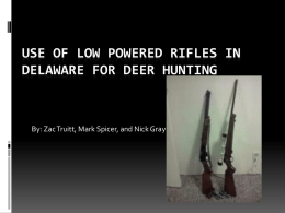 Use of Low Powered Rifles in Delaware For