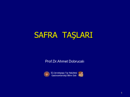 Safra taşları - Prof. Dr Ahmet DOBRUCALI