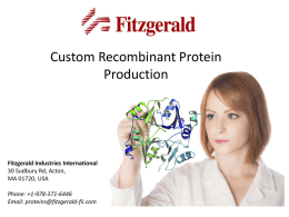 Custom Recombinant Protein Production