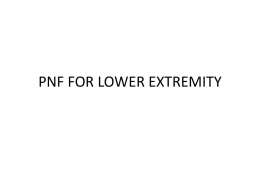 PNF FOR LOWER EXTREMITY